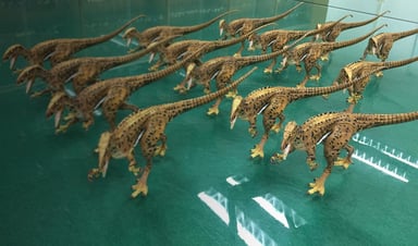 DDD Projet 7000 dinosaurs