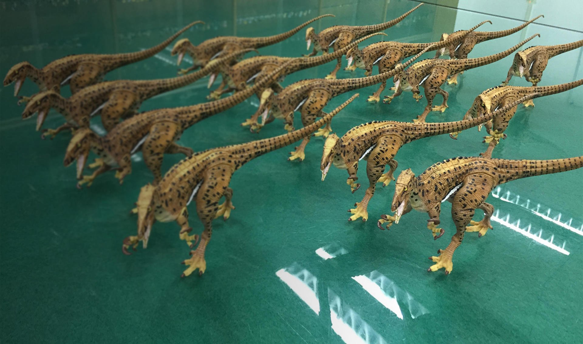 15 lifelike models of carnivorous dinosaurs, arranged on a glass table.