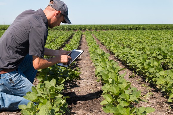 An agronomist using a tablet in the field.