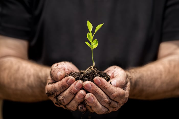 A man holding a plant seedling and soil in his hands.