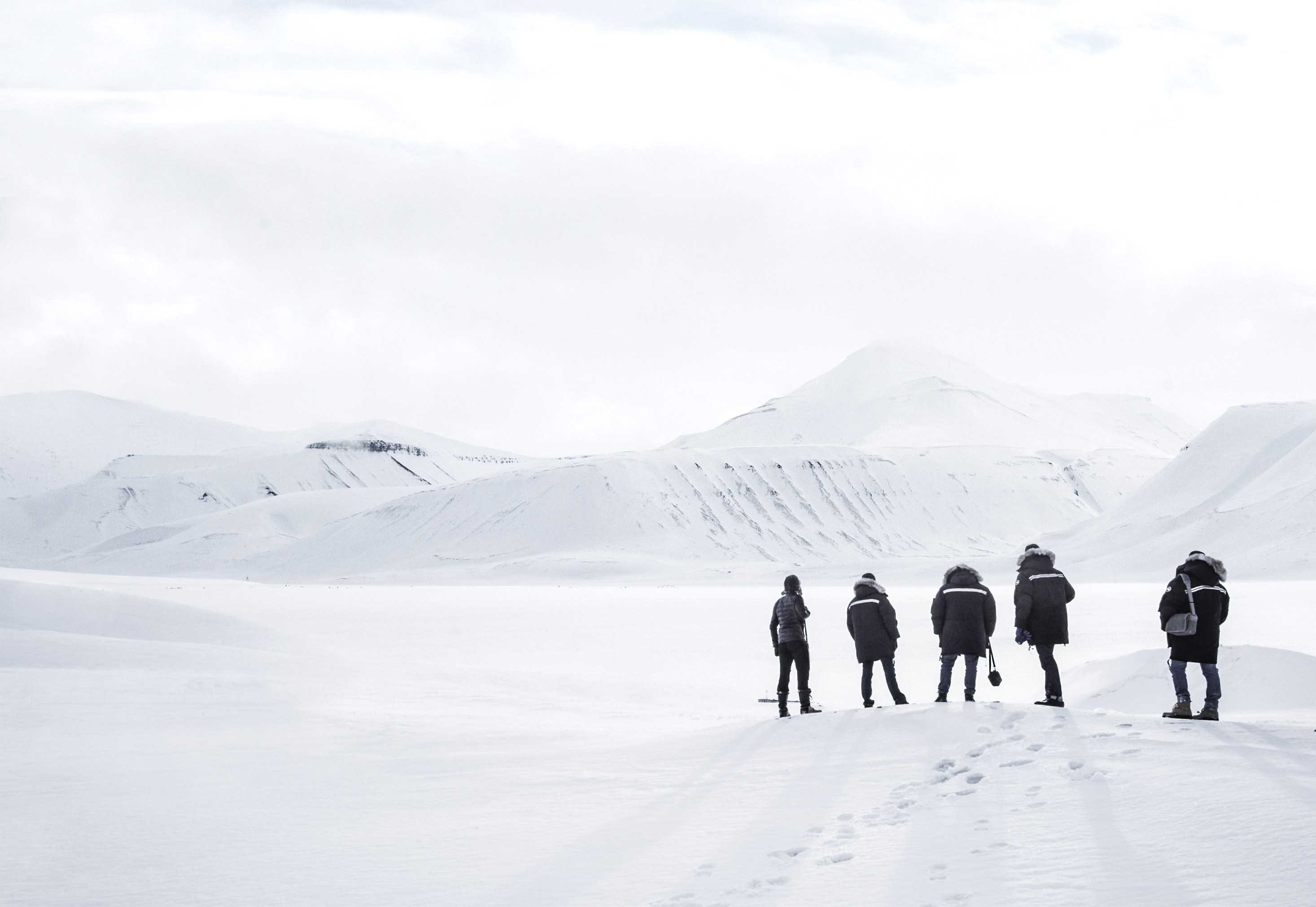 Five people wearing parkas standing on a snowy bank