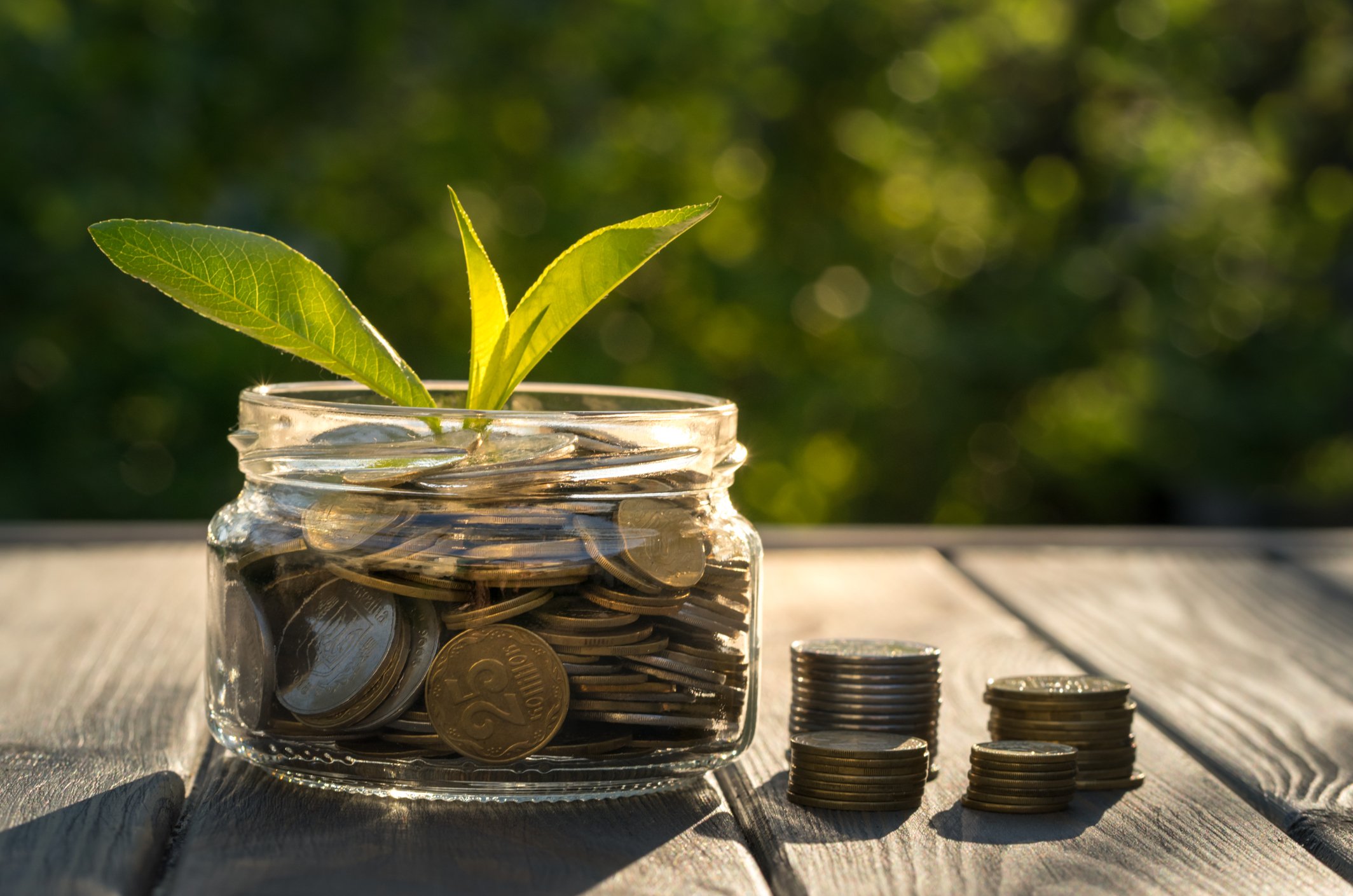 plant sprouting from a coin jar.