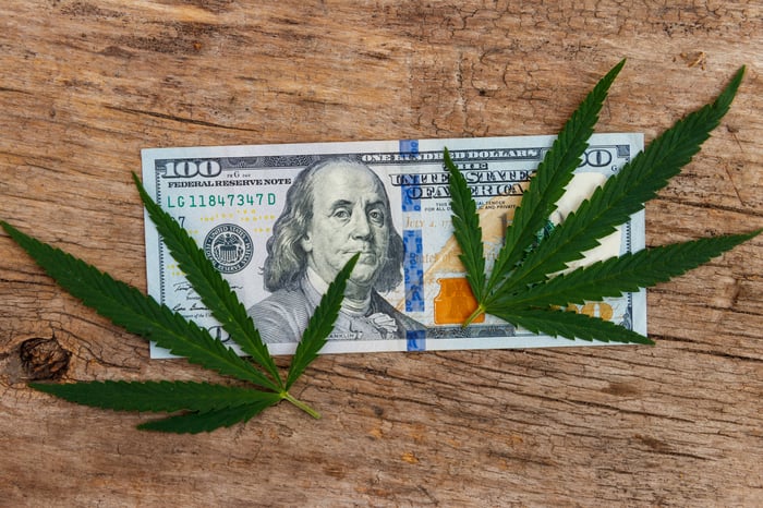 Two marijuana leaves laid on top of a one-hundred dollar bill.