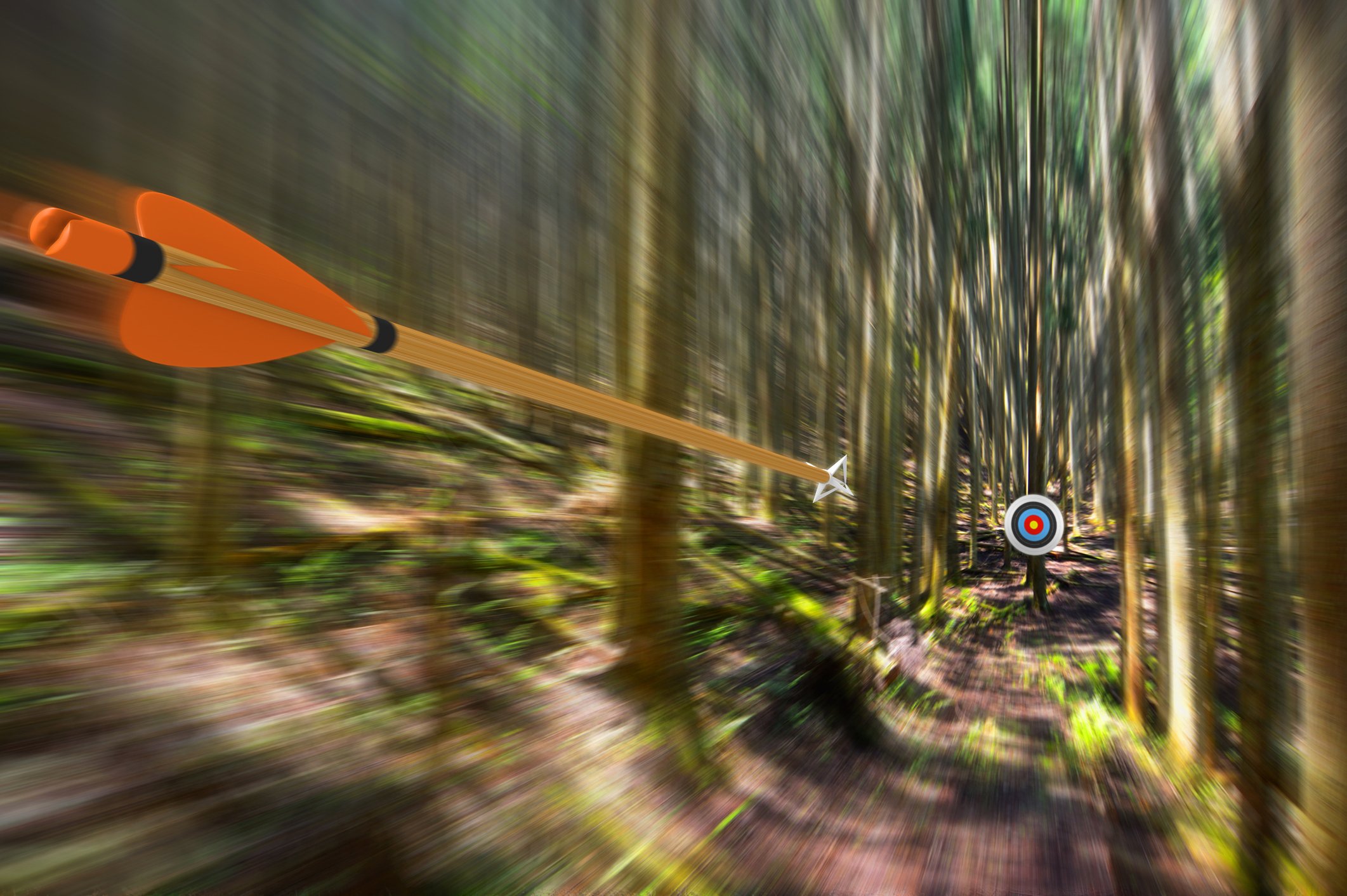 An arrow speeding toward a bull's-eye amid a grove of trees.