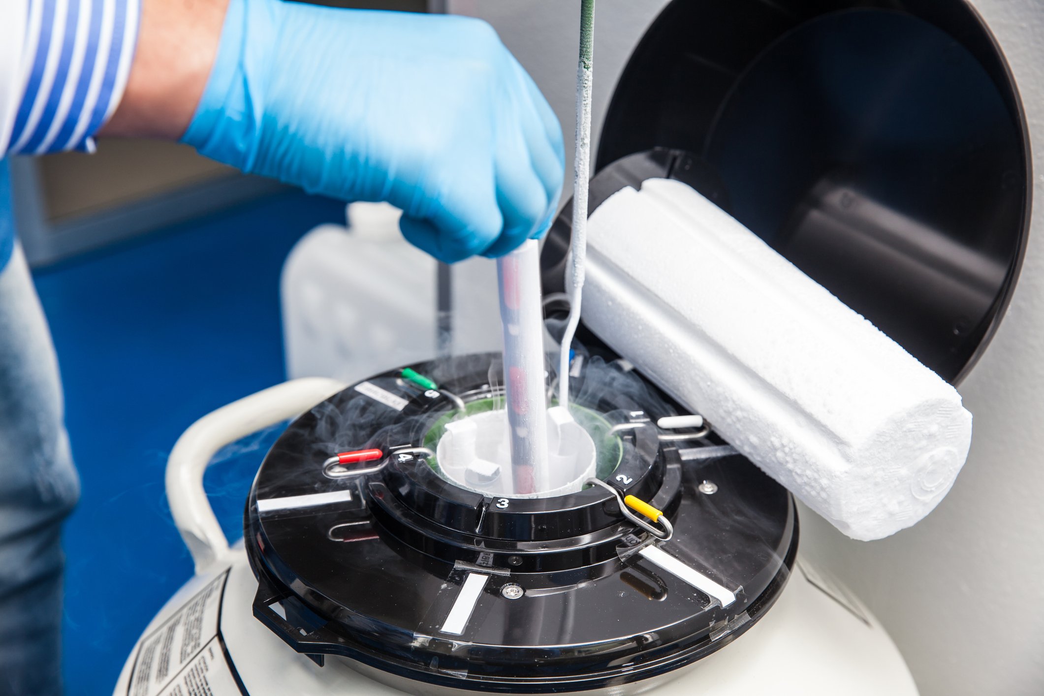 Cryo Equipment in Lab