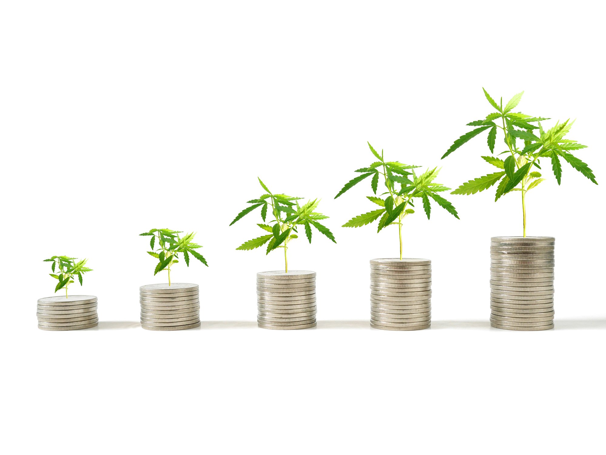 Marijuana plants on top of five increasingly higher stacks of coins.