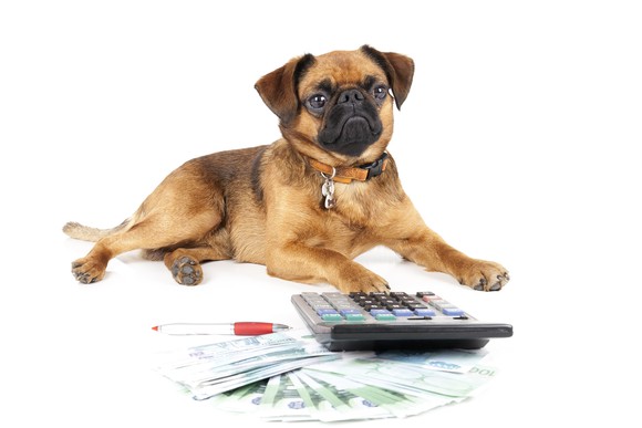 Dog sitting in front of a calculator with money and a pen nearby.