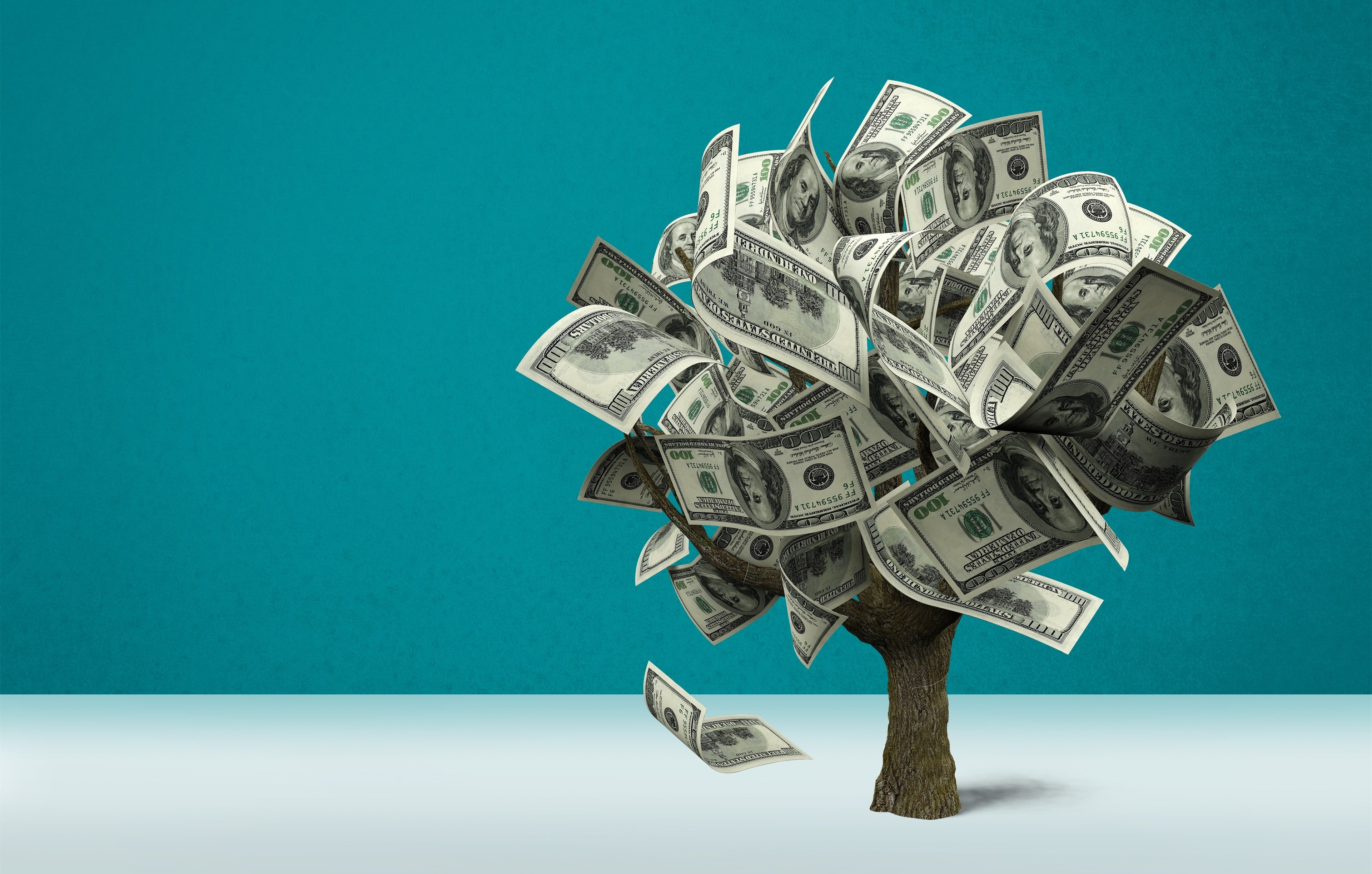 A tree is made of dollars
