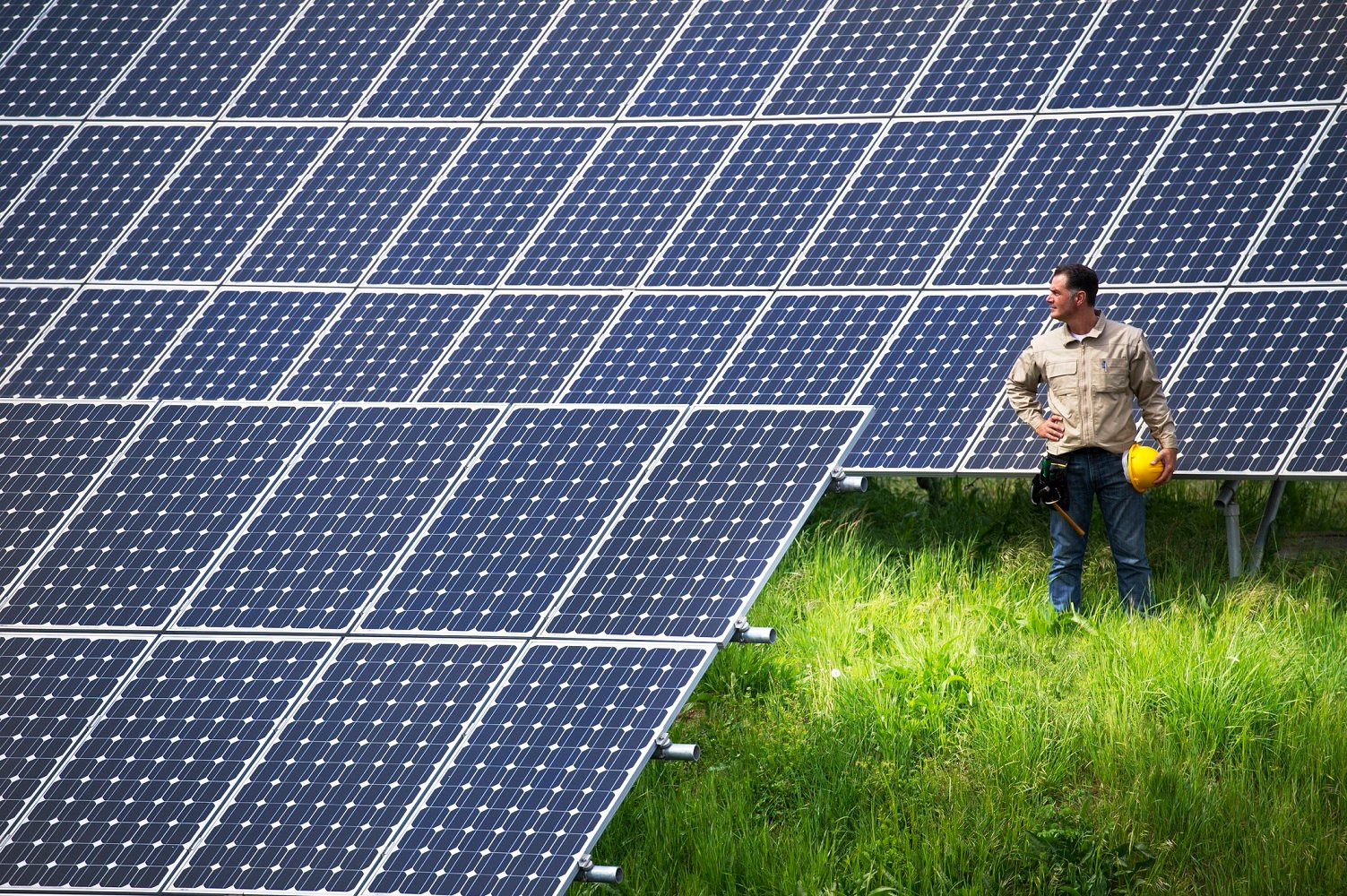 Worker at solar farm looking at solar panels while holding a yellow hard hat.