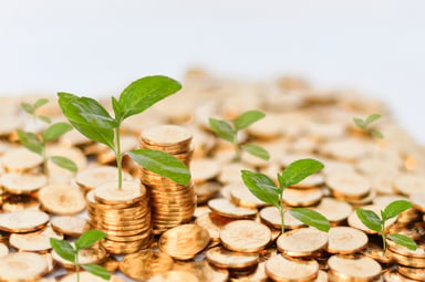 Seedlings sprouting from gold coins
