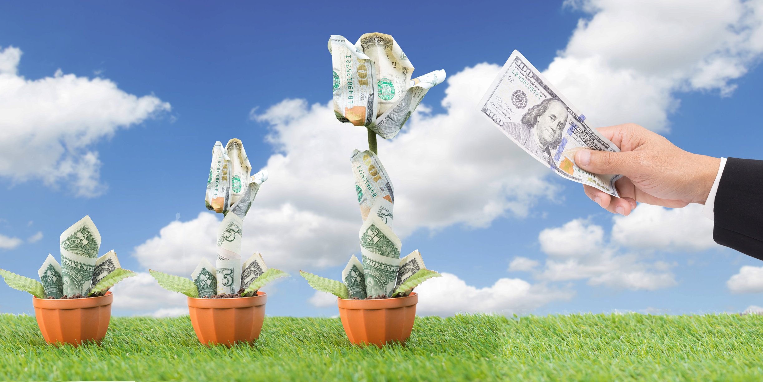 Three "dollar-trees" with each one getting progressively taller -- concept for growing money or dividends.