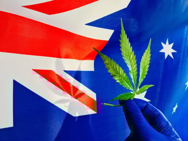 australia pot GettyImages-1033302316
