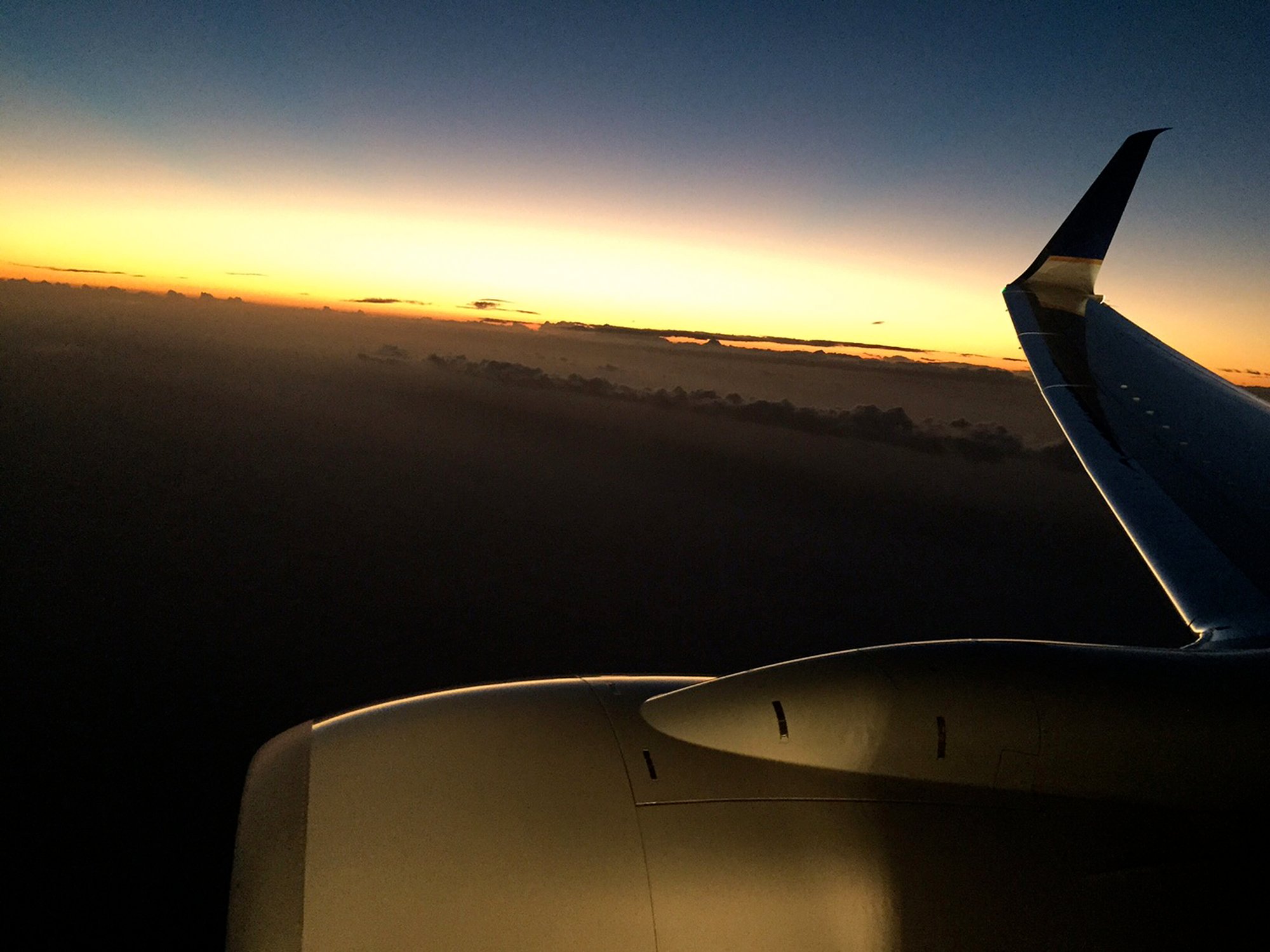 A Boeing 737 MAX in flight.