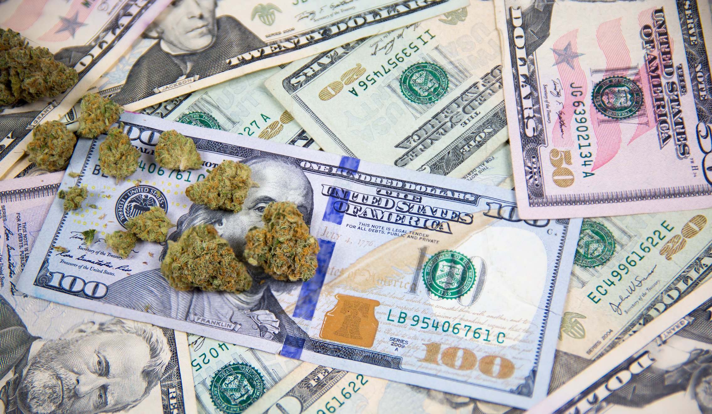 Marijuana buds on top of a pile of cash.