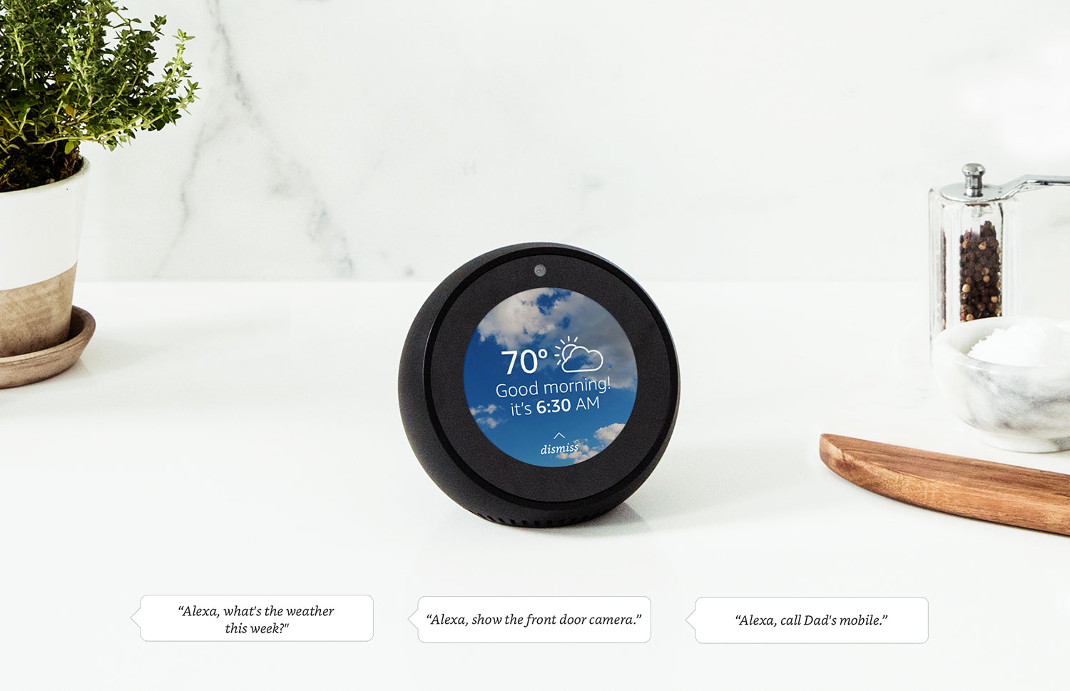 Amazon's Echo Spot.