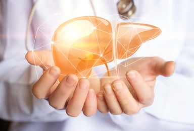LIVER (2)