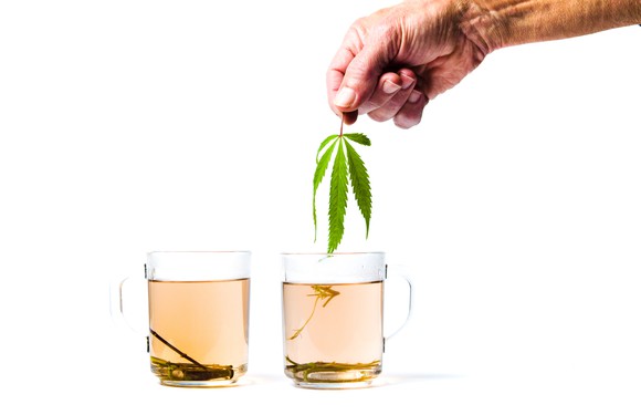 A man's hand holding a cannabis leaf above two cups of tea from the same plant.