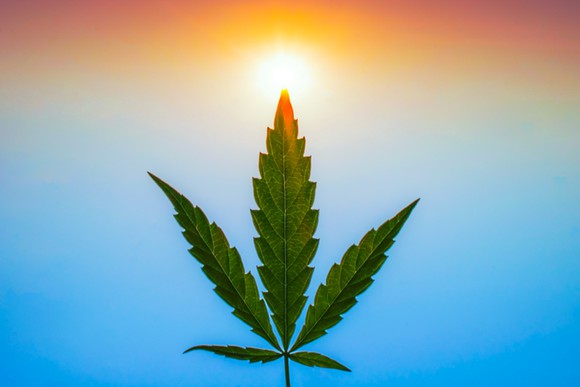 A marijuana leaf facing up with a hazy blue and orange background resembling a blue sky or ocean and a sunset or sunrise.