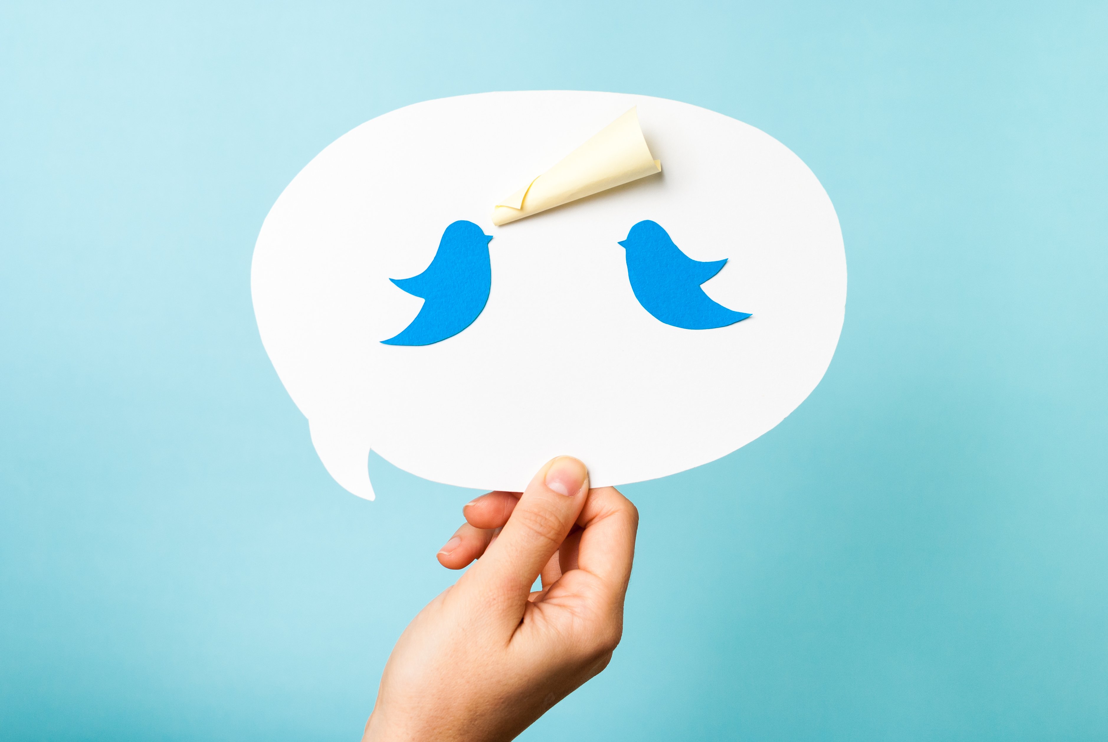 Two of the Twitter logo birds are seen inside of a white conversation bubble set against a blue background.