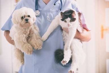 Vet With Can and Dog