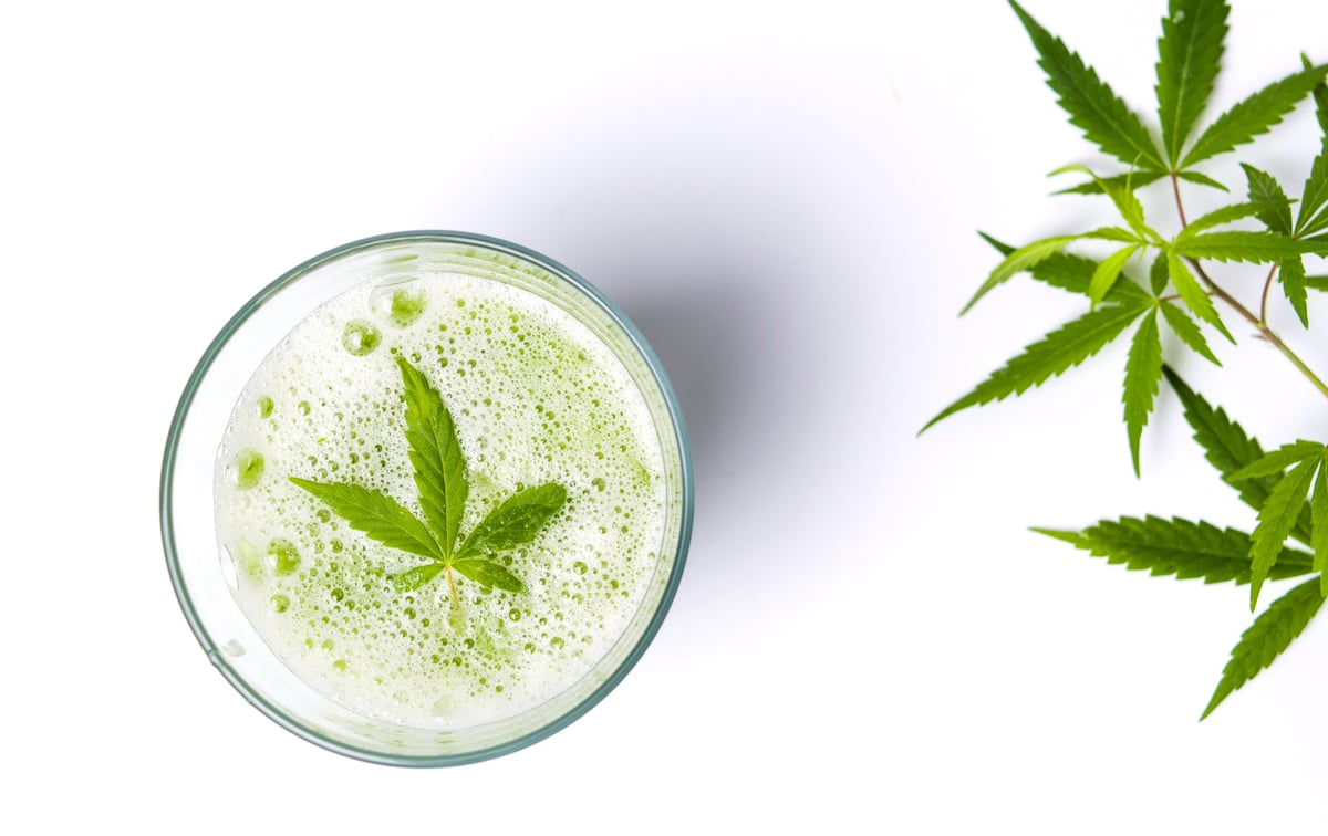 Better Buy: Canopy Growth Corporation vs. Constellation Brands