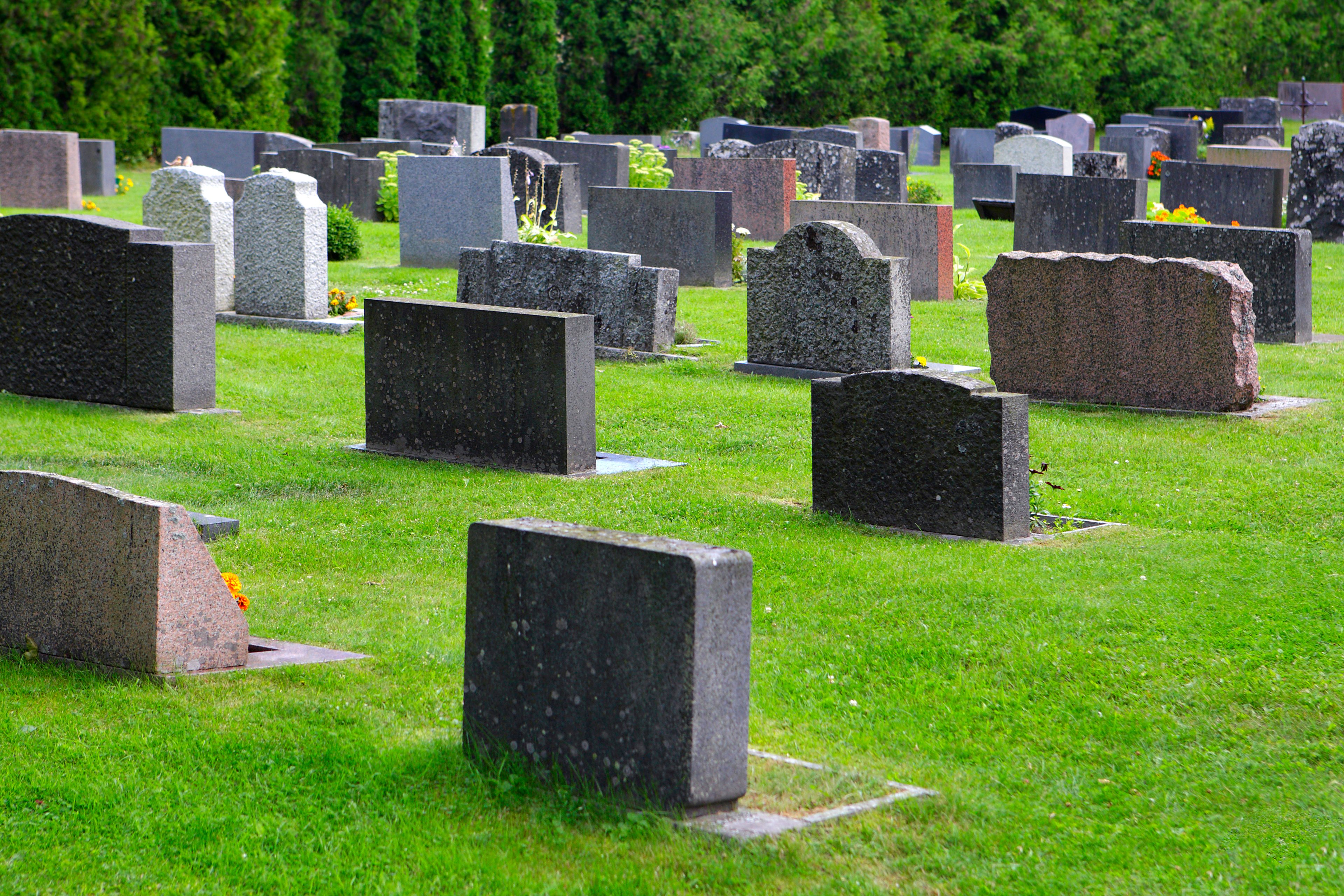Gravestones in a cemetery