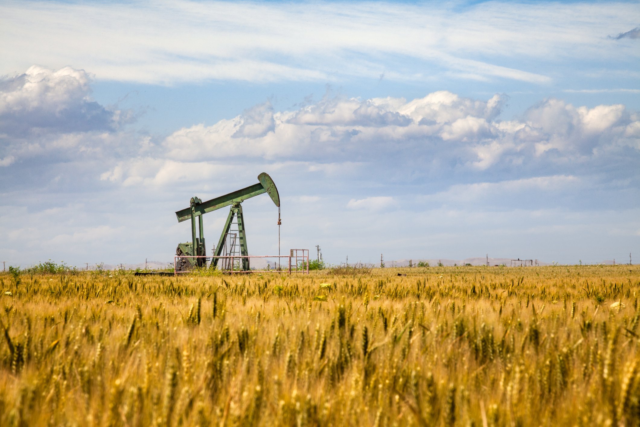 An oil pump in the middle of a wheat field.