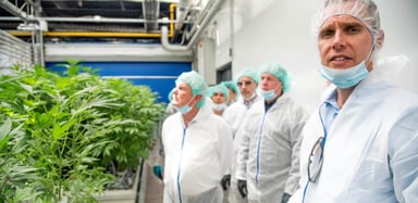 CNTTF researchers