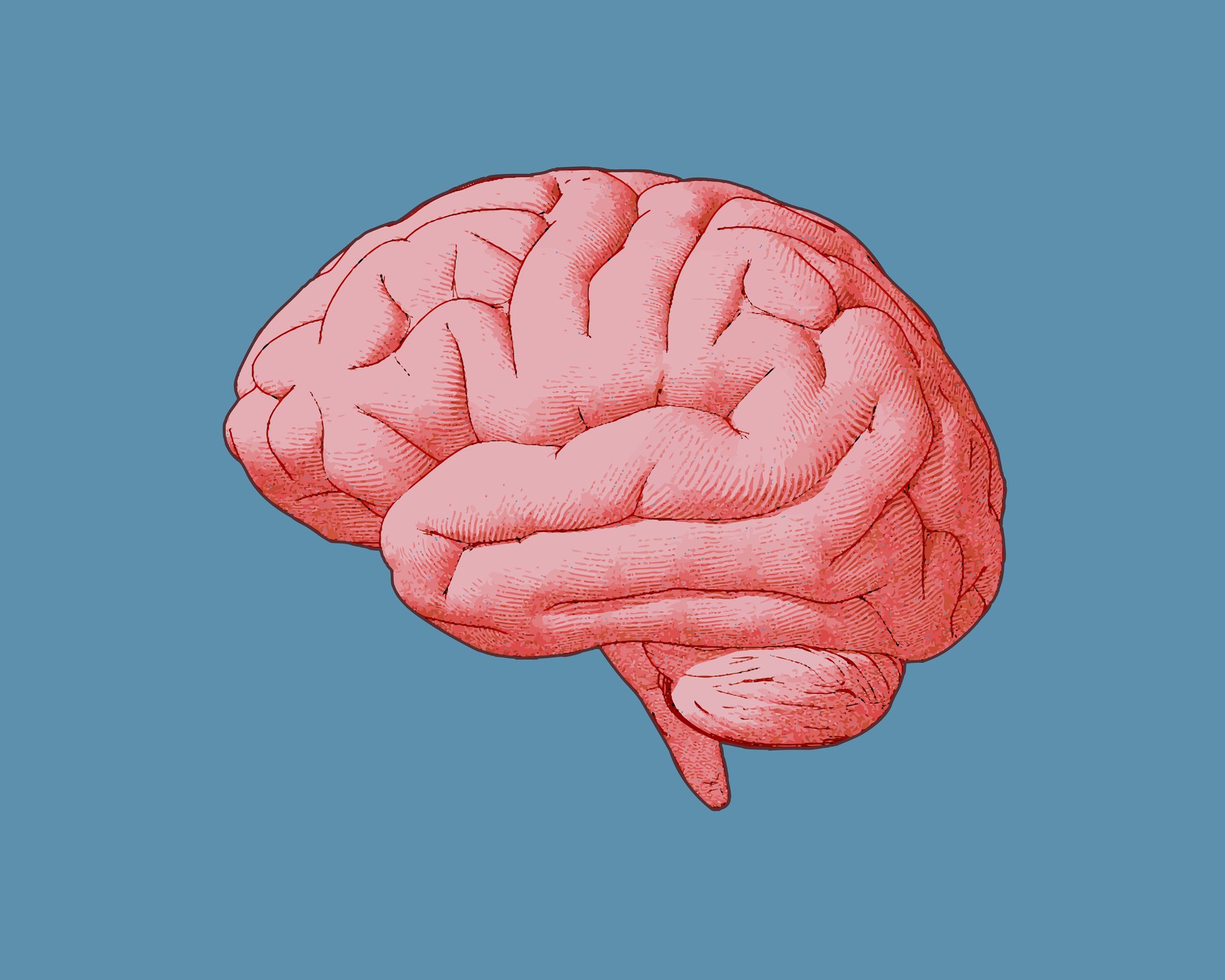 Pink brain image against blue background.