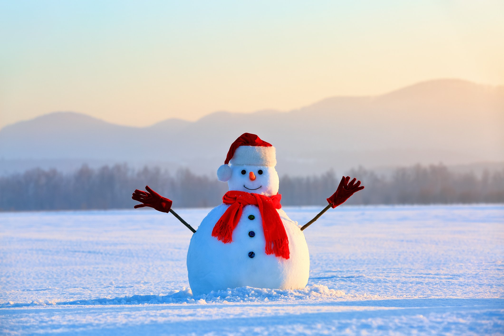 Snowman with winter background.