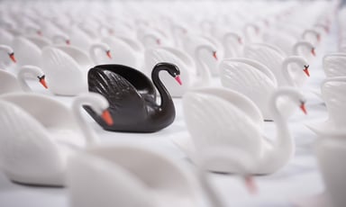 Black swan