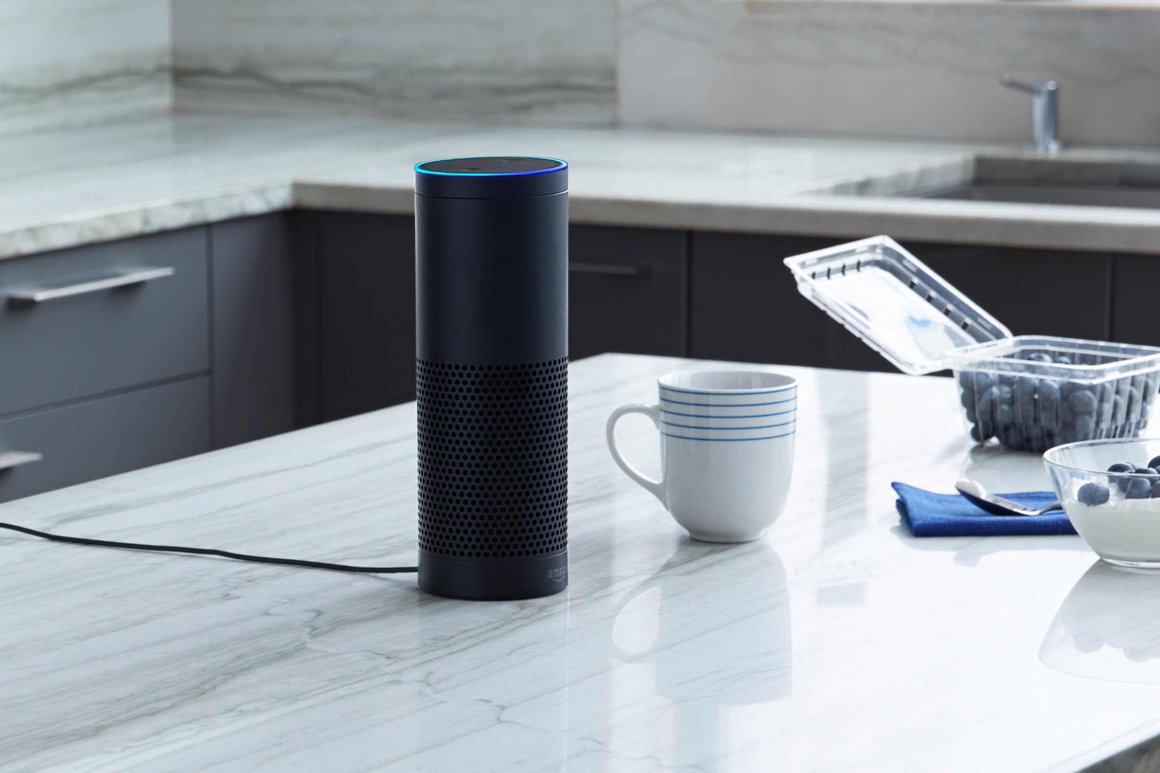 Amazon Echo on kitchen counter.