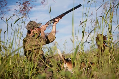 shotgun hunting gun weapons firearm getty