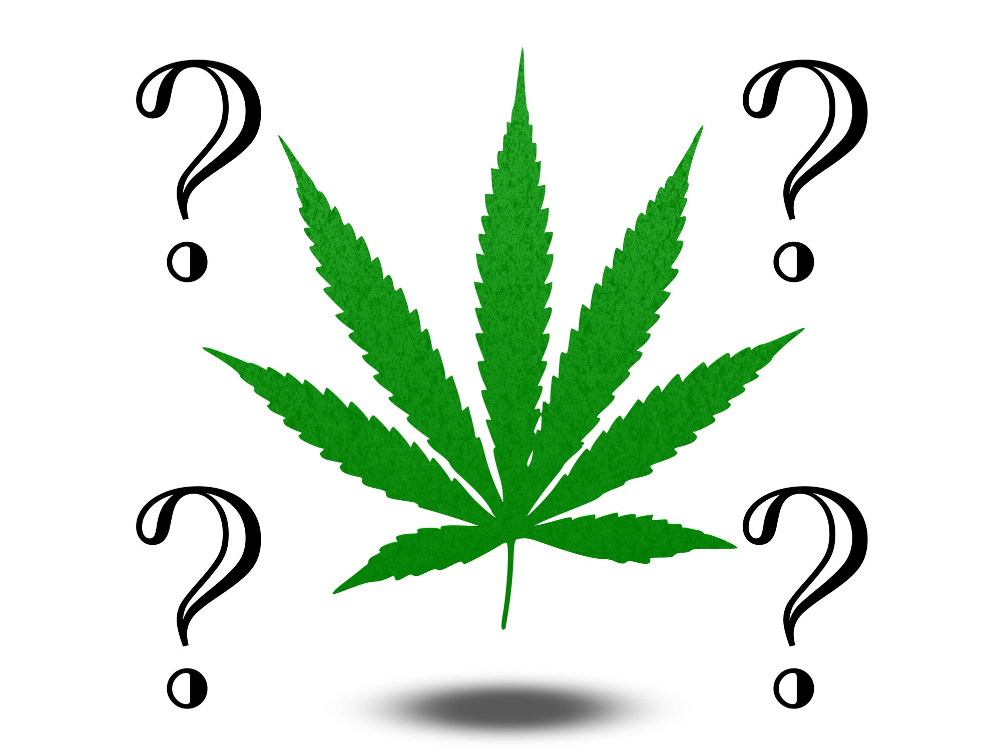 Marijuana leaf with four question marks surrounding it.