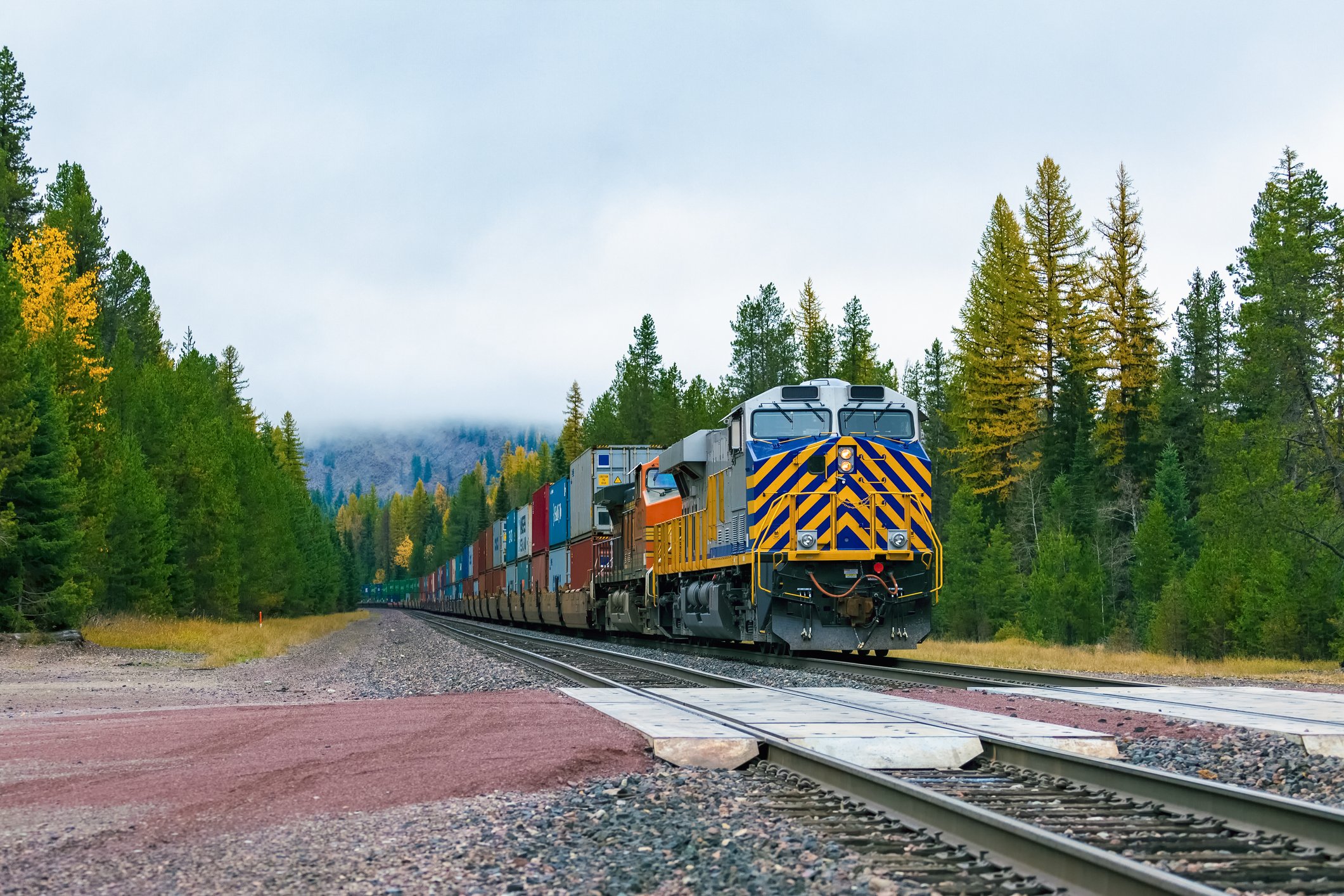 Freight train rolling through valley with green pine trees on either side.
