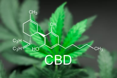 CBD Oil