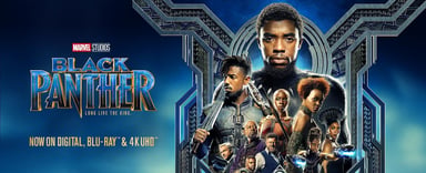 Disney black panther