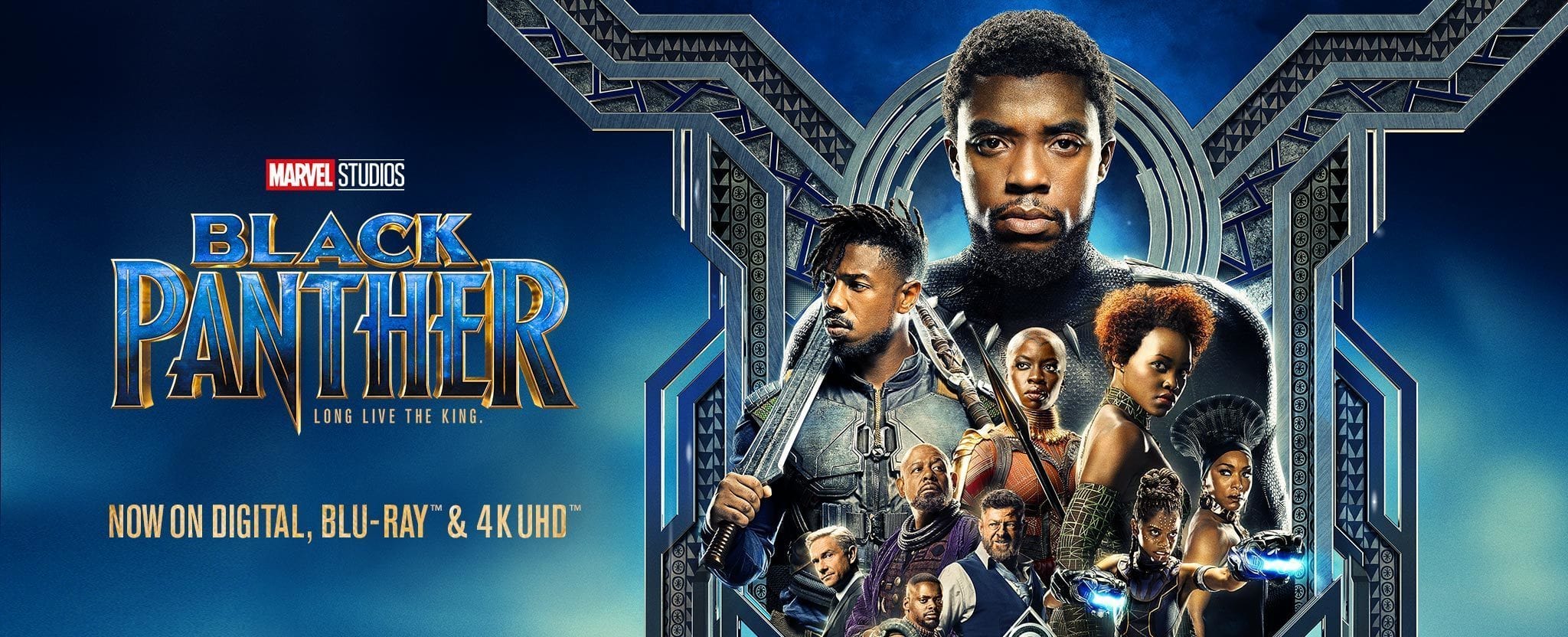 A poster from the movie "Black Panther"