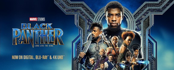 A poster from the movie "Black Panther"