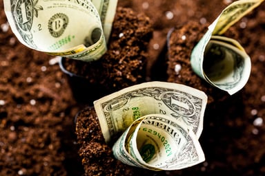 $1 bills growing out of the ground.