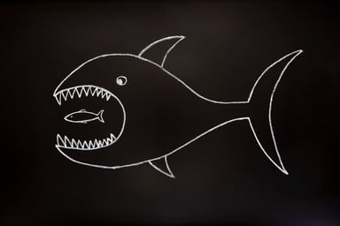 big fish eating small fish