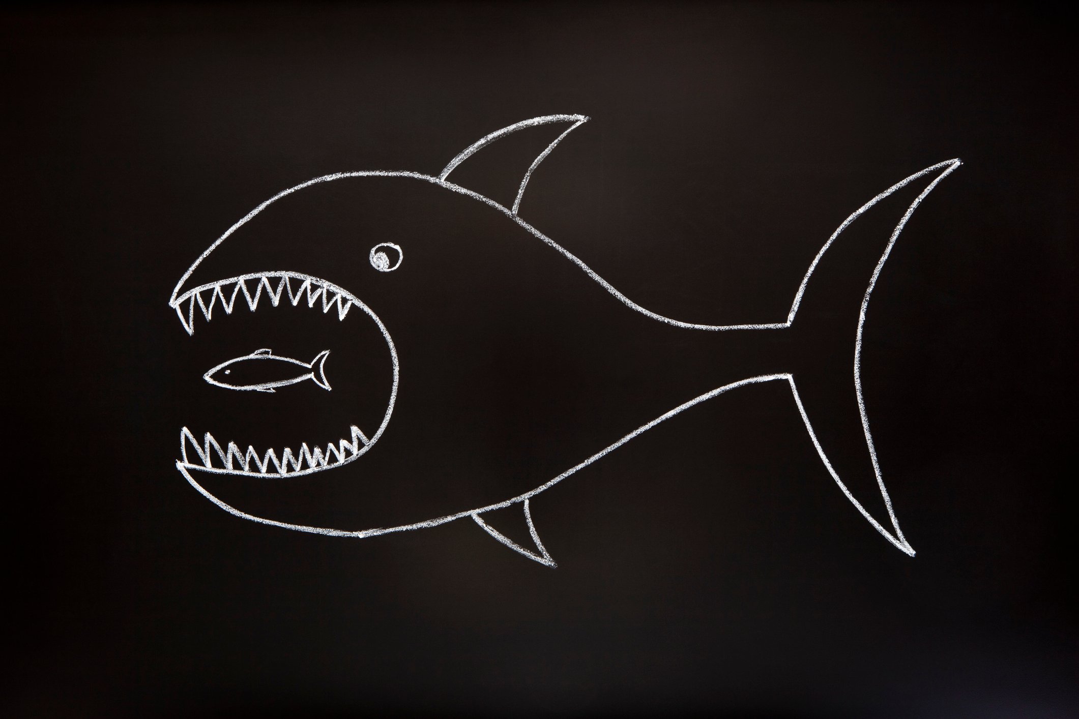 big fish eating small fish