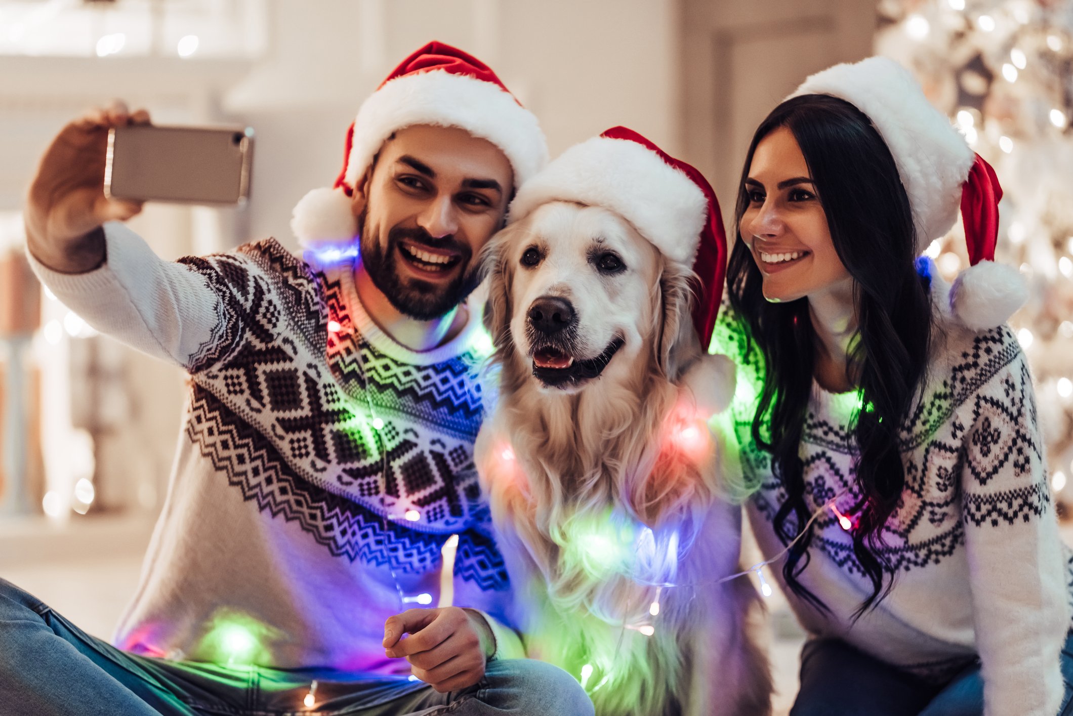 A young couple and their dog wearing Santa Claus hats and a string of Christmas lights draped around their necks take a self-portrait during Christmas.