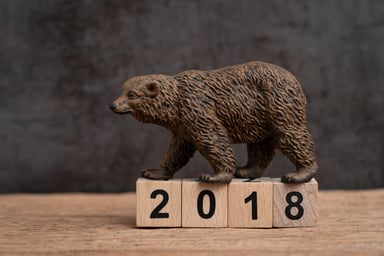 2018_bear