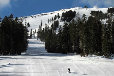 MTN Kirkwood