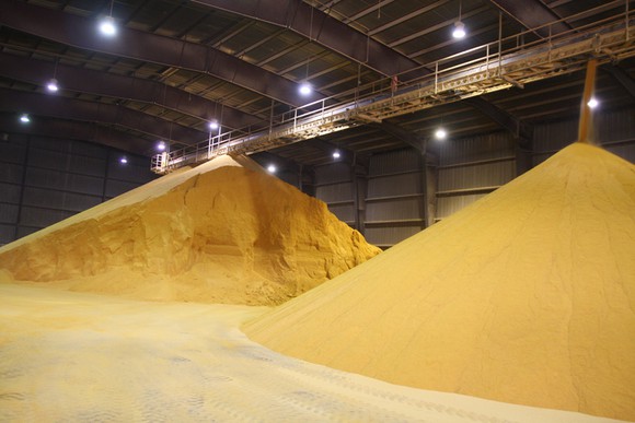 Dried distillers grains with solubles sitting in a warehouse.