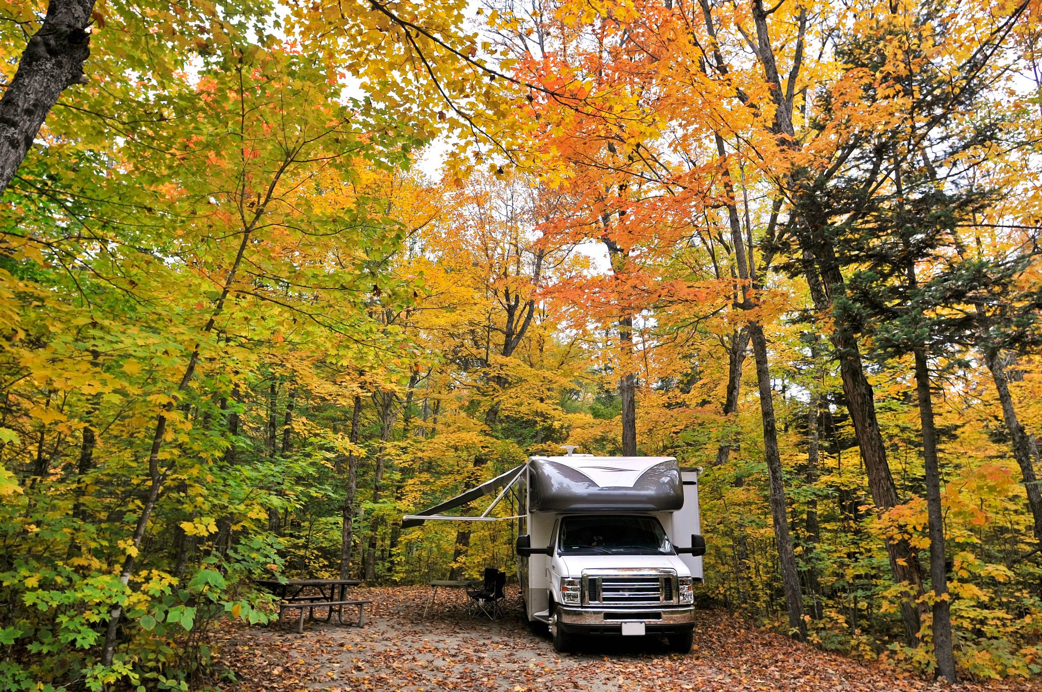 A recreational vehicle camping in a forrest.