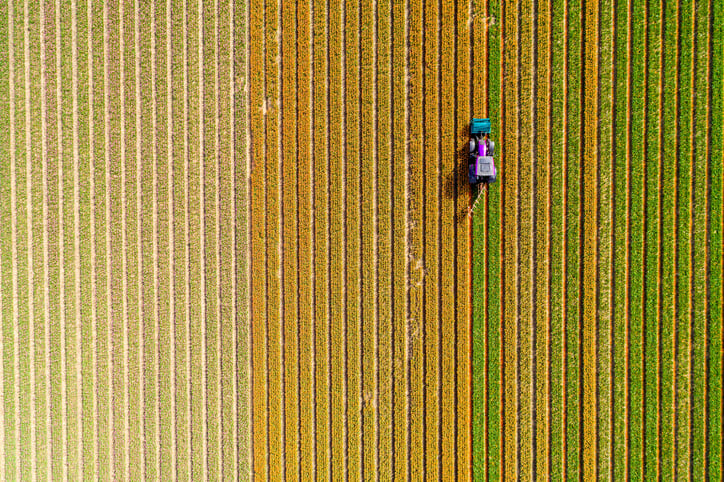 A bird's-eye view of a combine in a field.