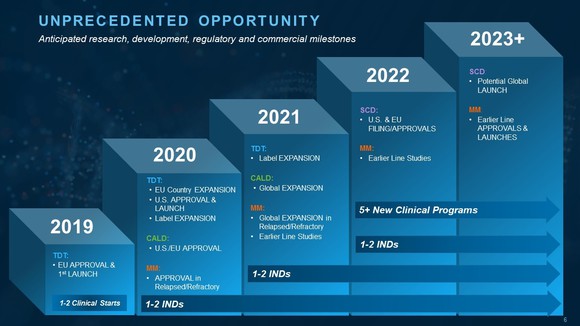 Chart listing expected activities for bluebird during 2019-2023.