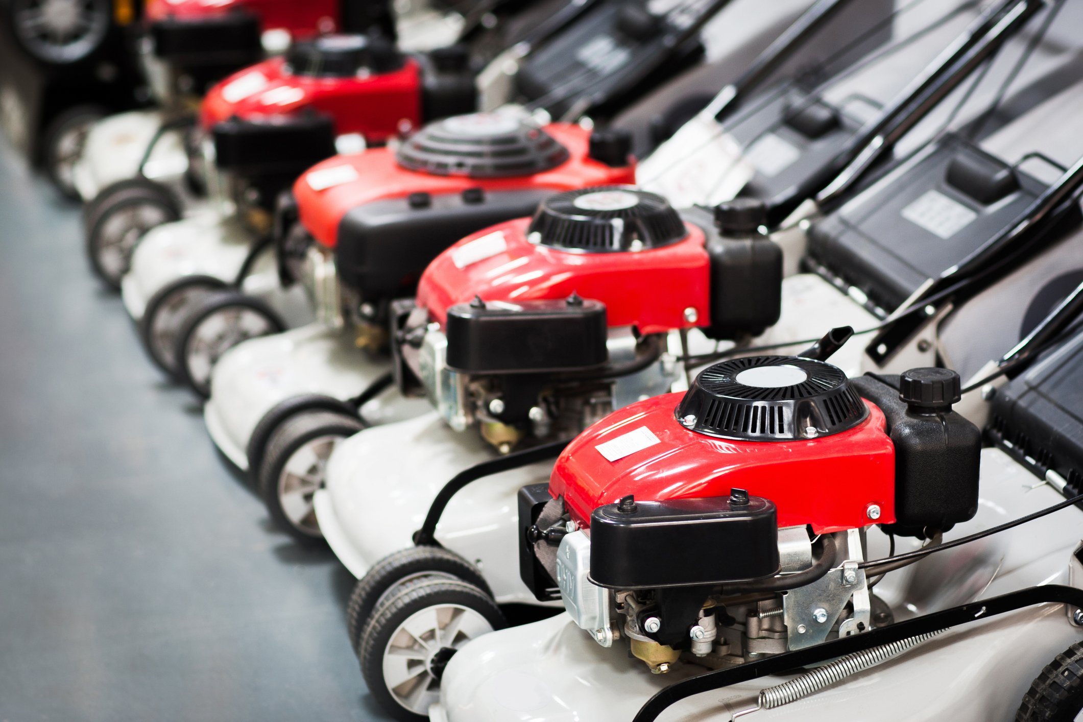 A row of shiny new lawn mowers lined up in a hardware store